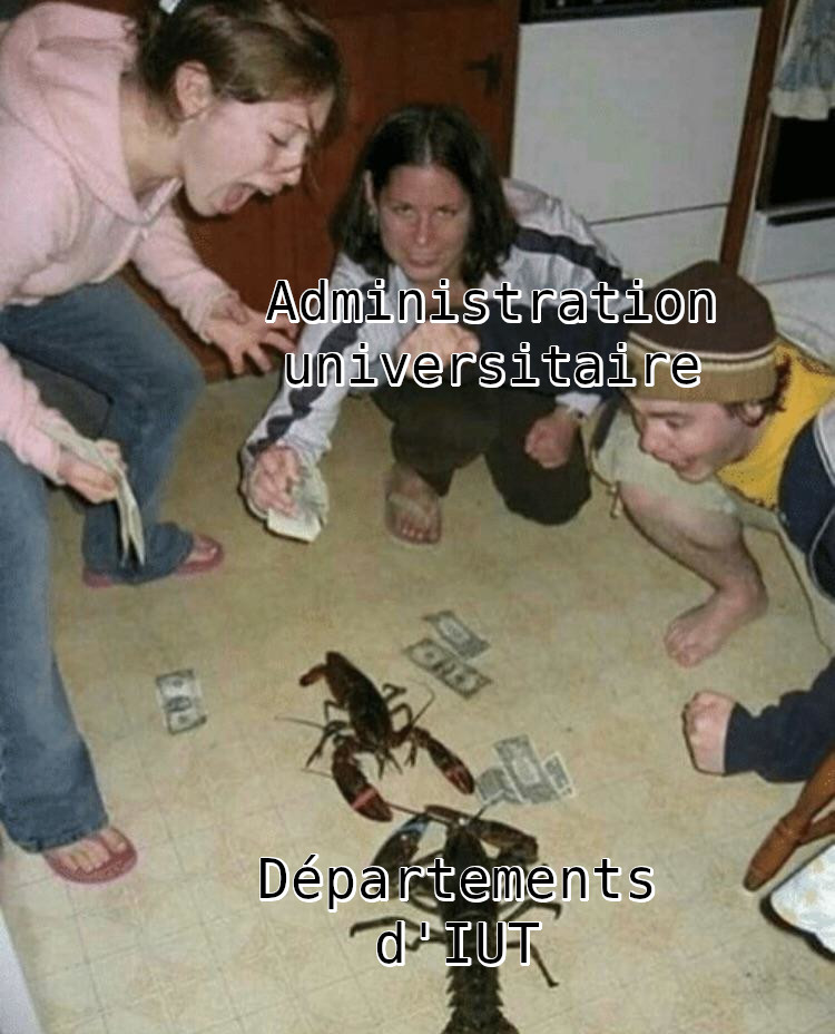 Trois jeunes personnes dans une cuisine autour de deux homards. La mise en scène laisse croire qu'ils sont en train de parier sur le homard gagnant d'un combat avec des billets et deux des humains en train de hurler.